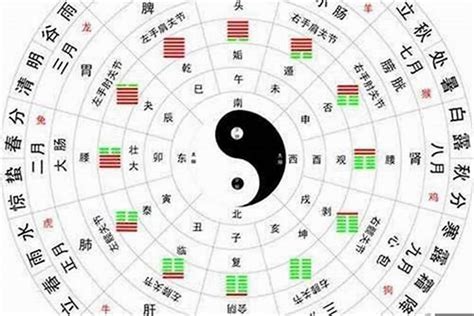 命中缺金的人|八字里缺金是什么意思 五行缺金是什么命格的人